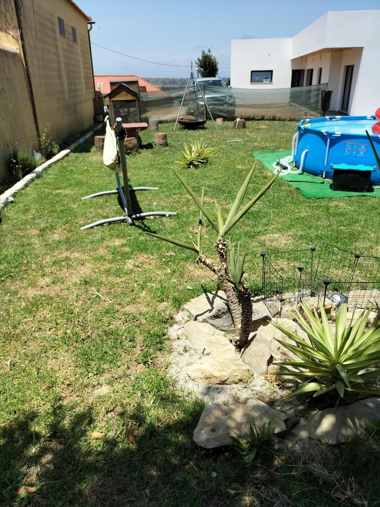 בית הארחה לוריניה 	Dinocamp מראה חיצוני תמונה